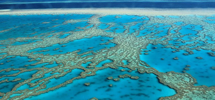 Great-Barrier-Reef-Australia
