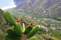 Kolumbusz nyomában gyalogos és élmény túra – La Gomera látnivalók